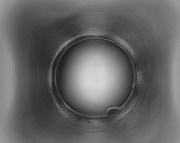 X0000115740580200911191447