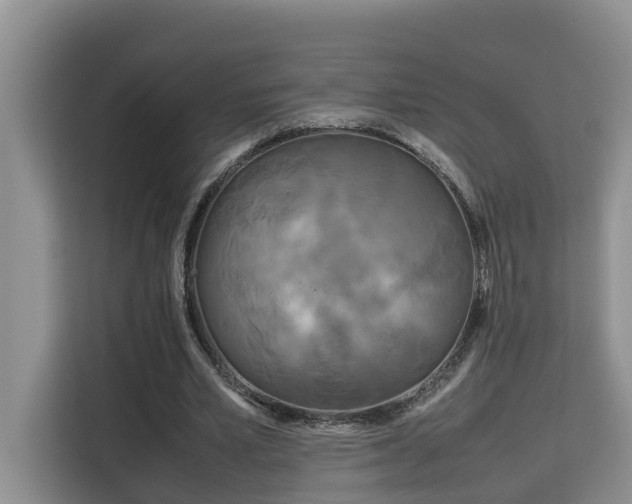 X0000115740581200911191447