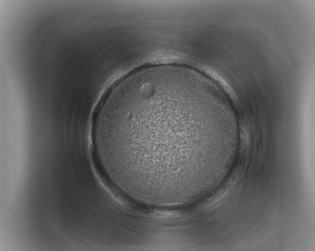 X0000115740582200911191447