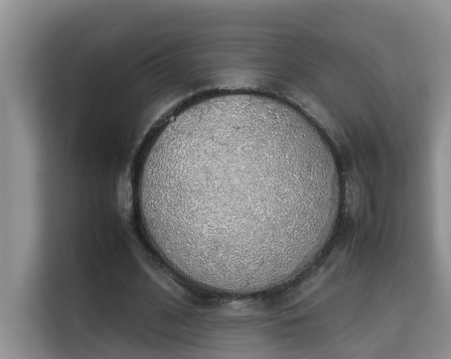 X0000115740584200911191447