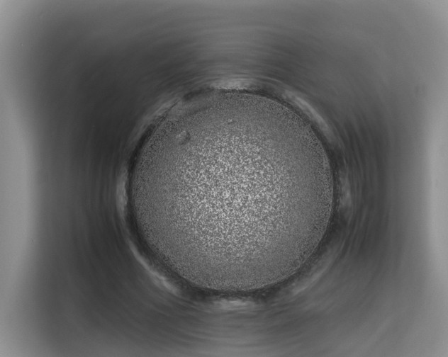 X0000115740586200911191447