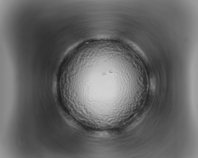 X0000115740588200911191447