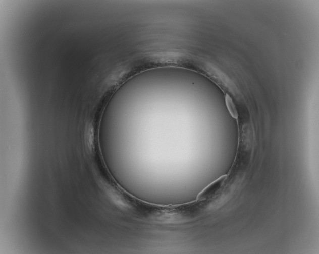 X0000115740589200911191447