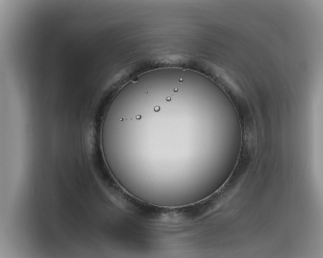 X0000115740591200911191447