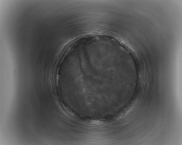 X0000115740592200911191447