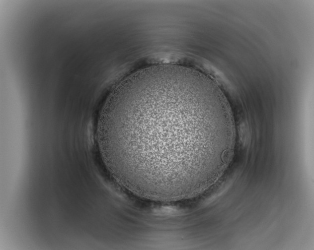 X0000115740594200911191447