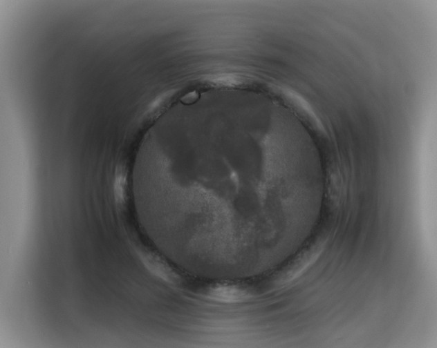 X0000115740596200911191447