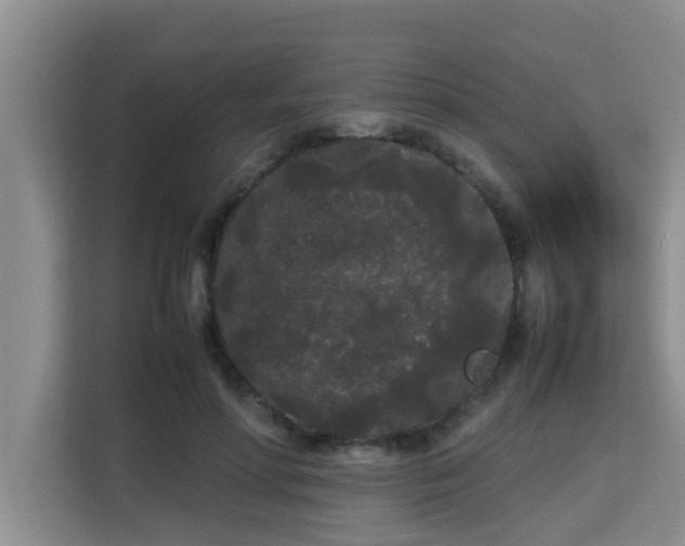 X0000115740598200911191447