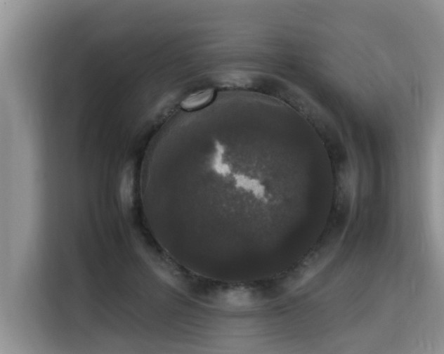 X0000115740600200911191447