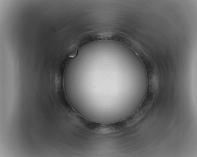 X0000115740608200911191446