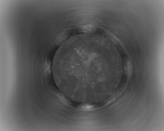 X0000115740610200911191446