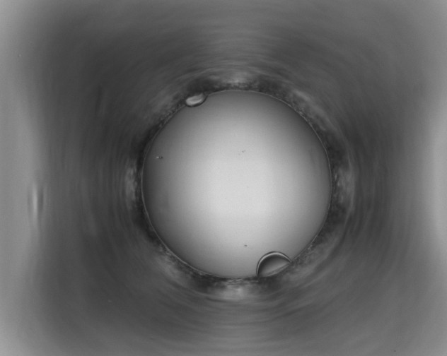 X0000115740612200911191446