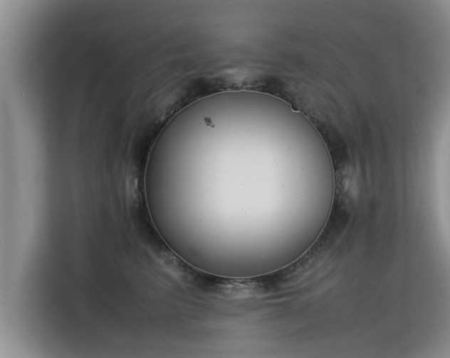 X0000115740615200911191446