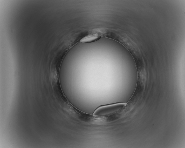 X0000115740617200911191446