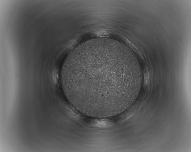 X0000115740618200911191446