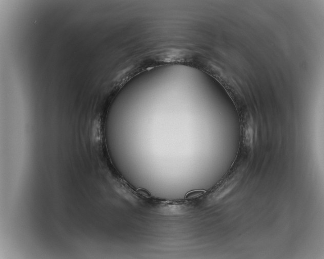 X0000115740620200911191446