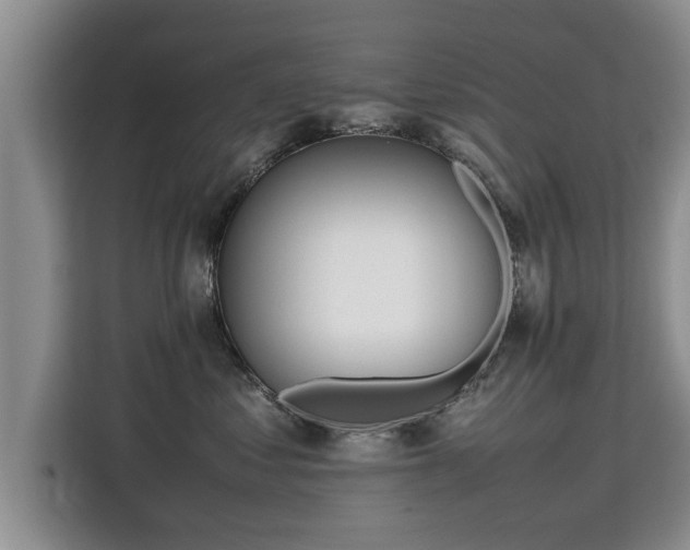 X0000115740621200911191446