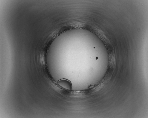 X0000115740622200911191446