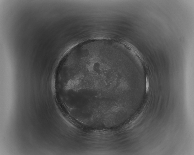 X0000115740627200911191446