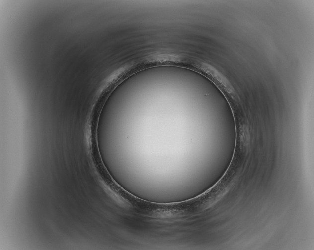 X0000115740629200911191446