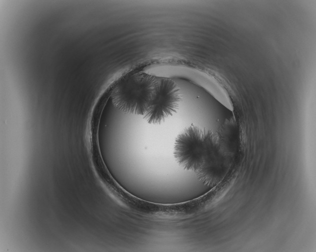 X0000115740630200911191446
