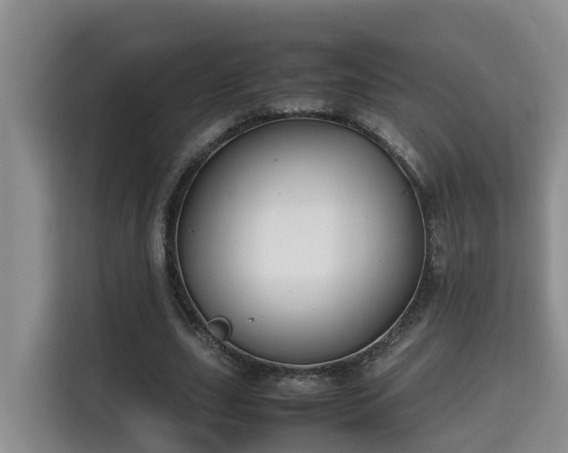 X0000115740631200911191446