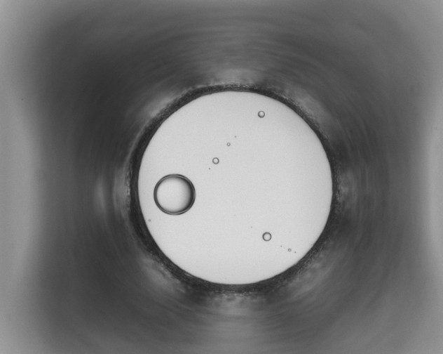 X0000115740632200911191446