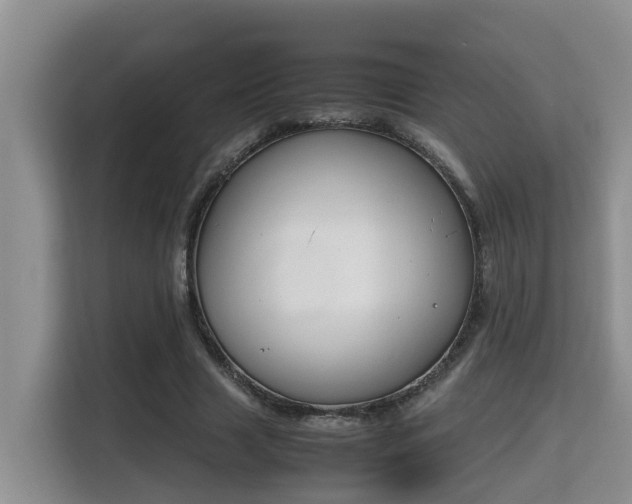 X0000115740633200911191446