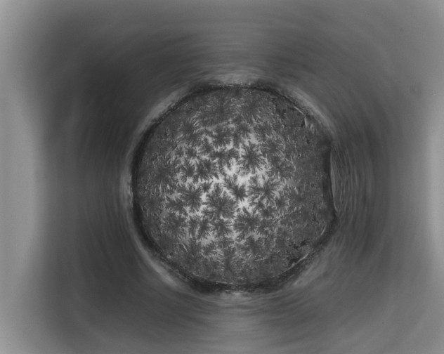 X0000115740634200911191446