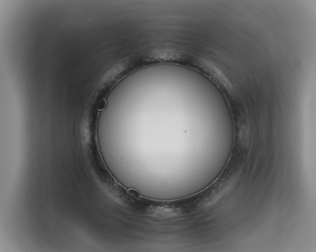 X0000115740635200911191446