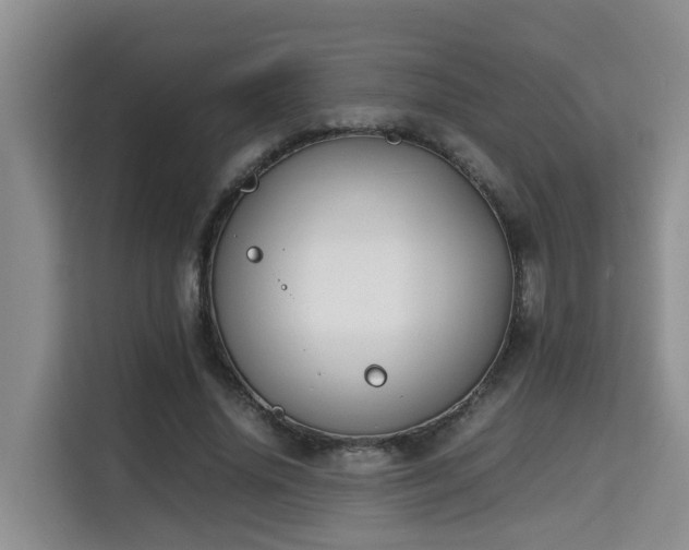 X0000115740636200911191446