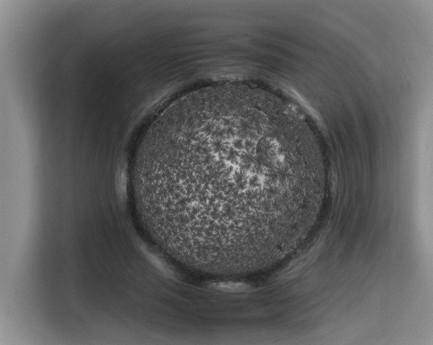 X0000115740637200911191446