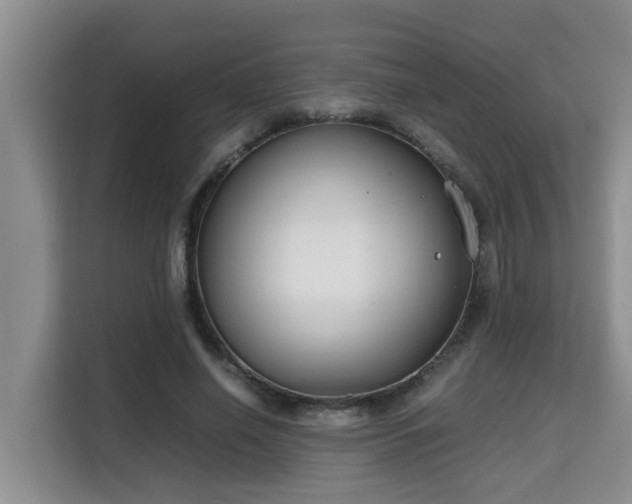 X0000115740638200911191446