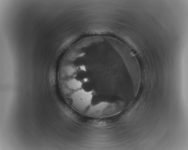 X0000115740640200911191446