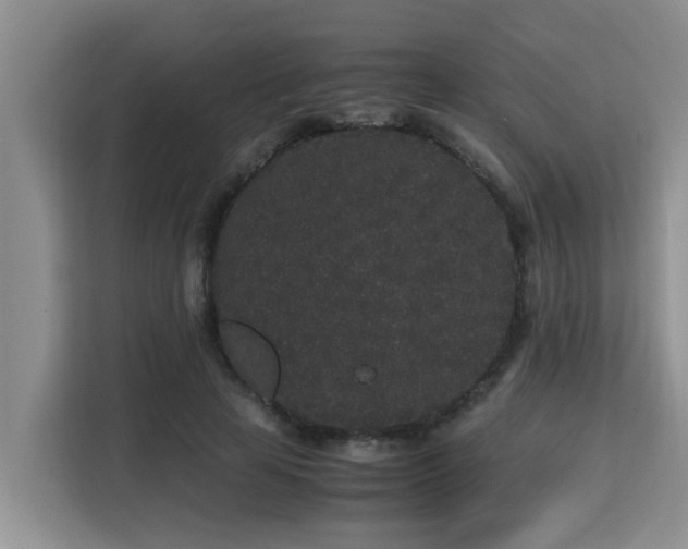 X0000115740641200911191446