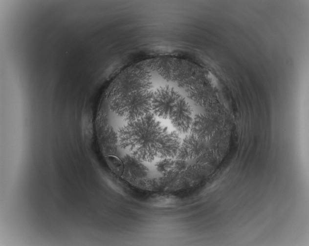 X0000115740642200911191446