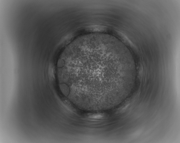 X0000115740643200911191446