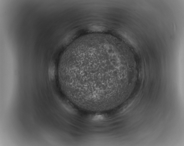 X0000115740647200911191446