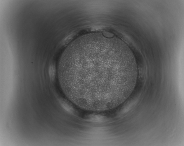 X0000115740648200911191446