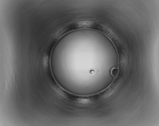 X0000115740649200911191446