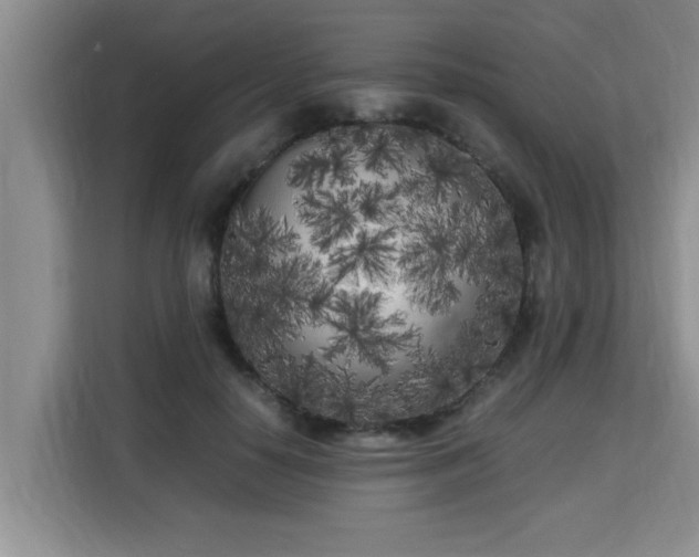 X0000115740650200911191446