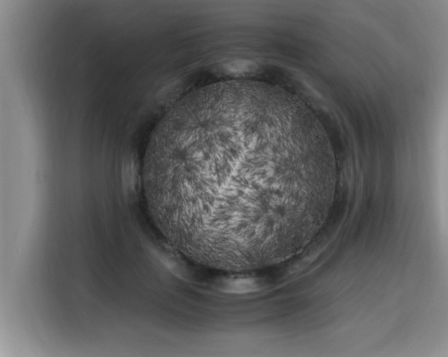 X0000115740651200911191446