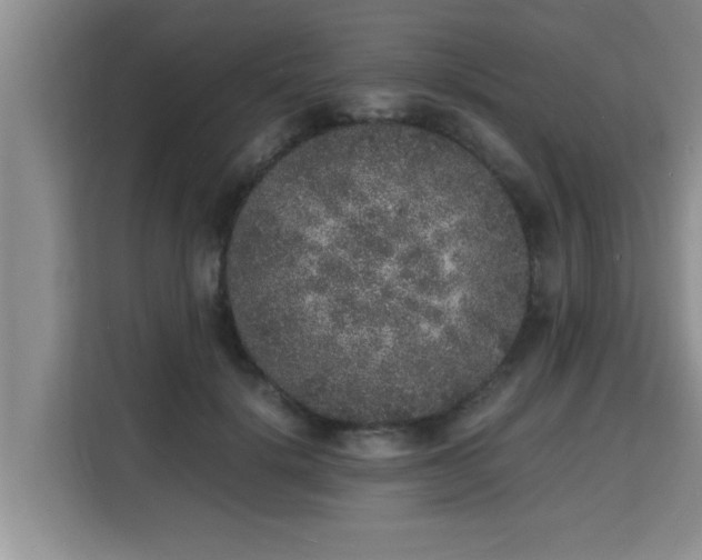 X0000115740652200911191446