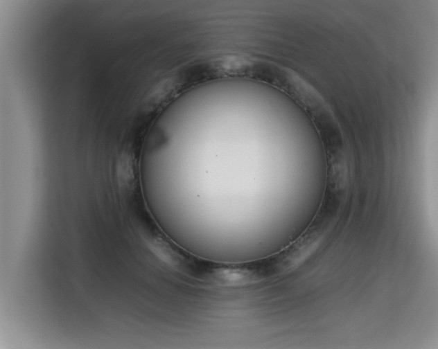 X0000115740654200911191446