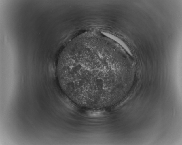 X0000115740661200911191446