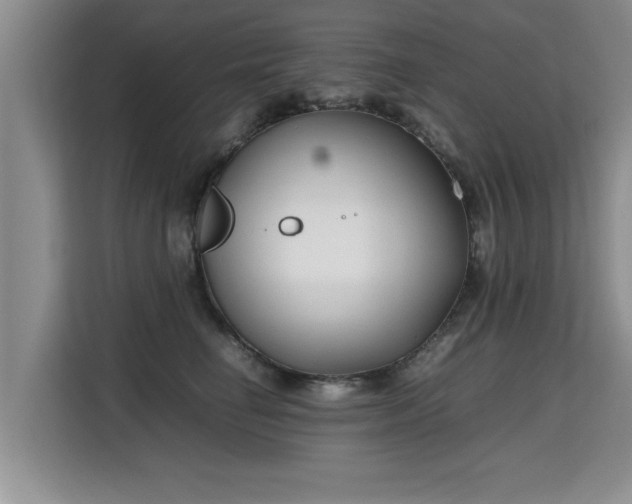 X0000115740662200911191446