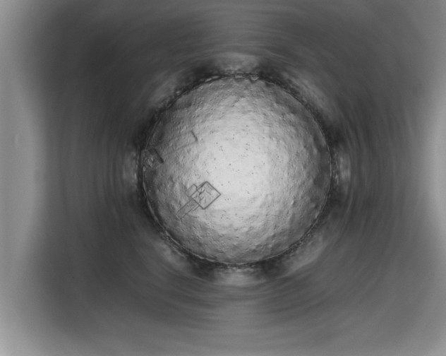 X0000115740664200911191446