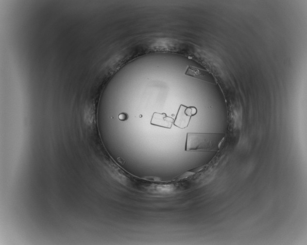 X0000115740665200911191446