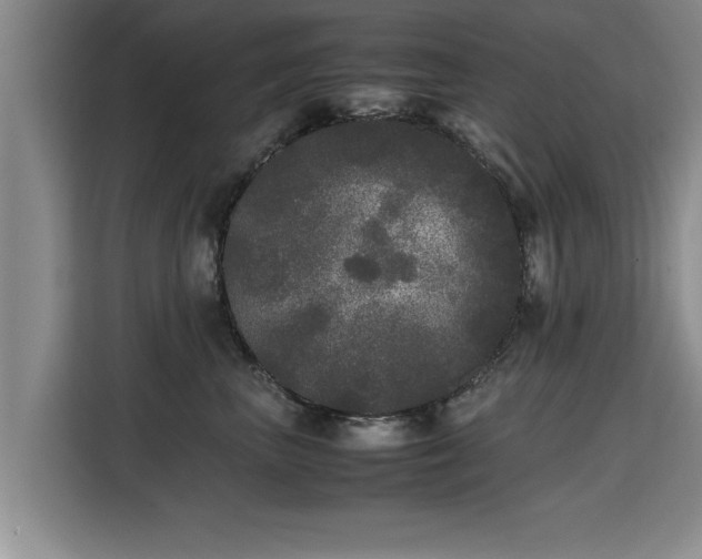 X0000115740667200911191446