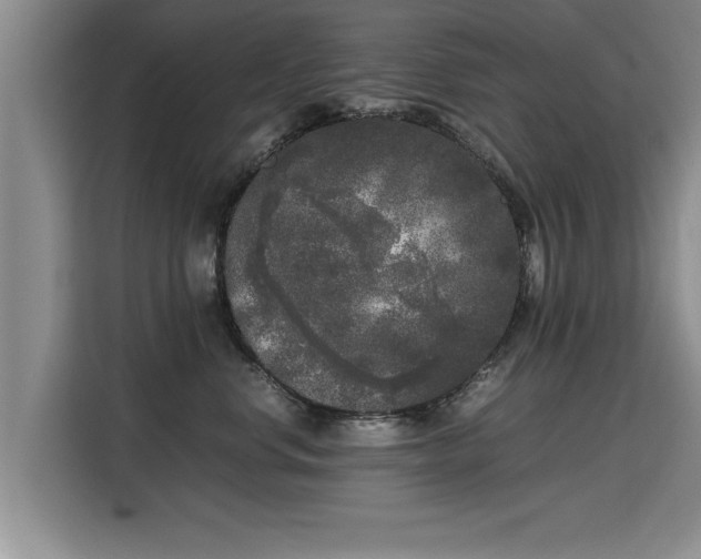 X0000115740668200911191446